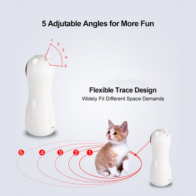 "Unleash Endless Fun and Joy for Your Cat!"